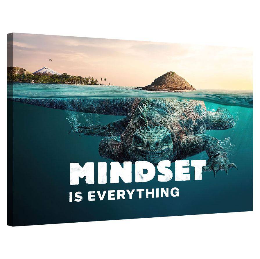 Mindset is everything (Lizzard)