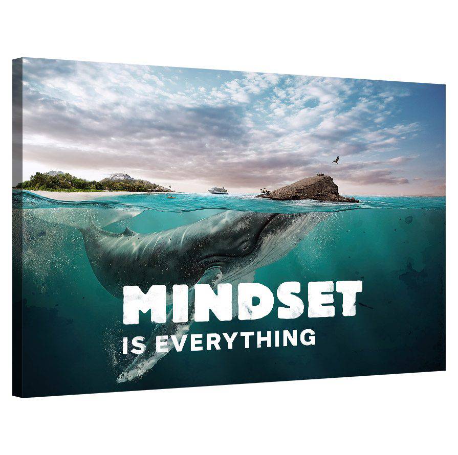 Mindset is everything (Whale)