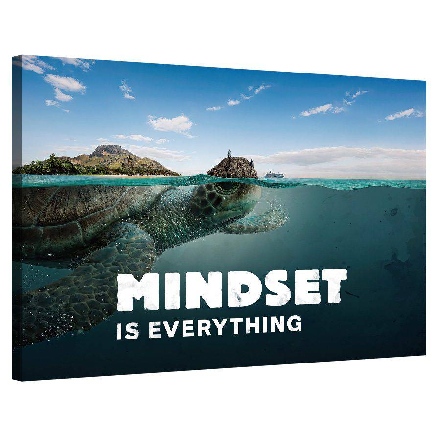 Mindset is everything (Turtle)