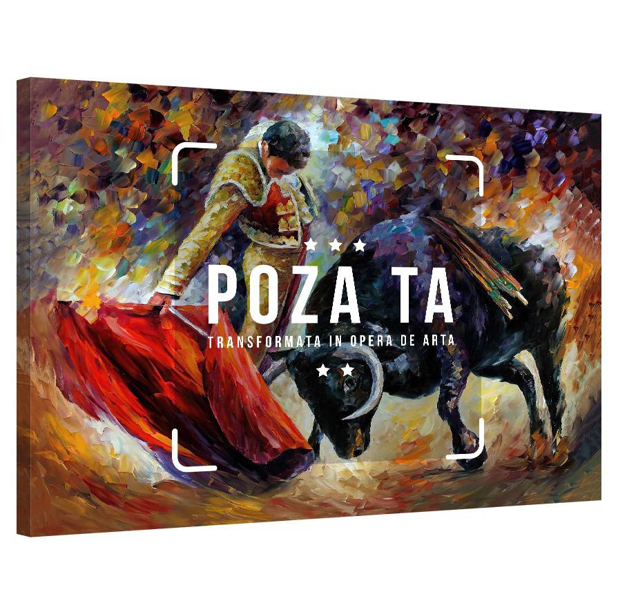 Tablou Personalizat cu o poză · Landscape