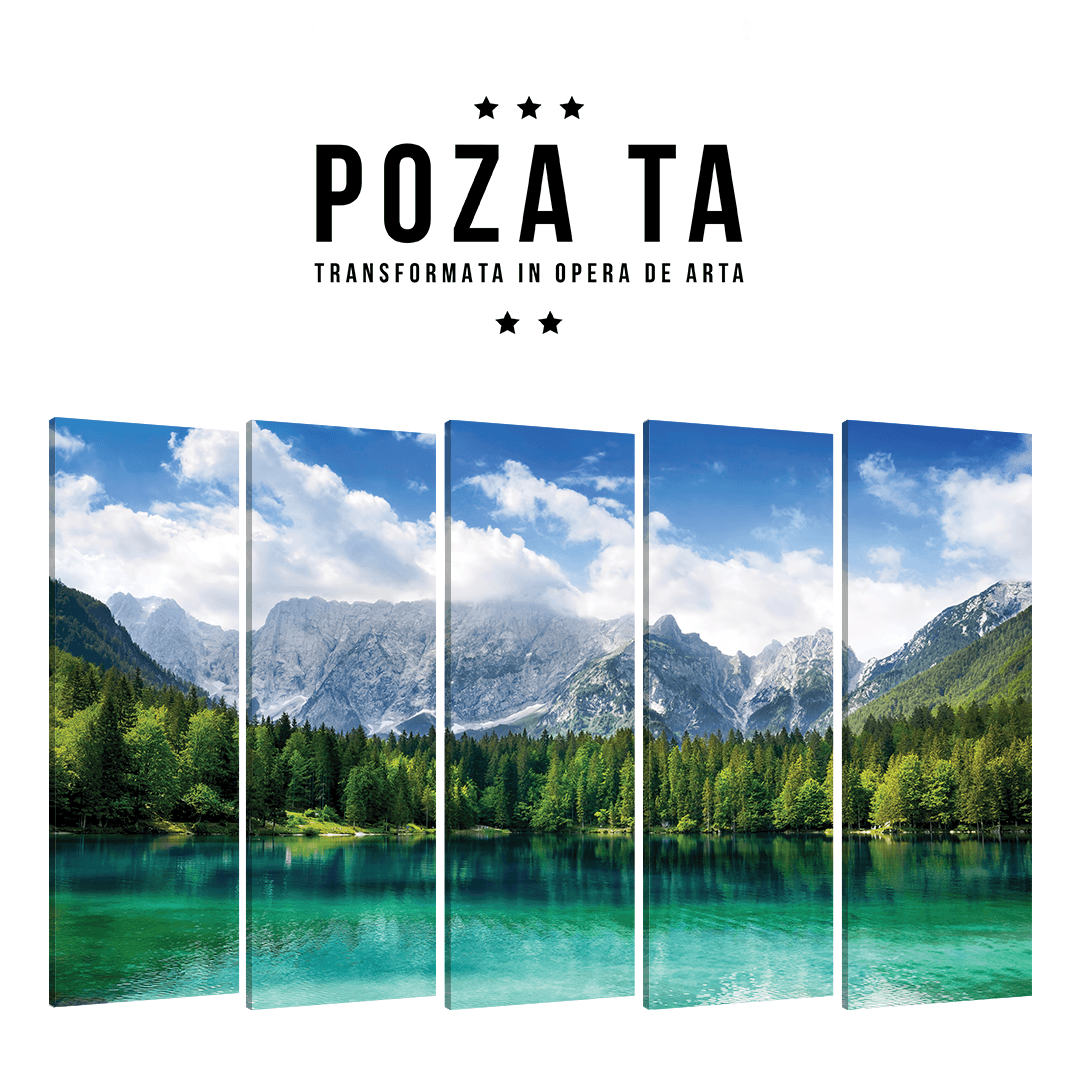 Tablou Personalizat Multicanvas · 5 Piese Full