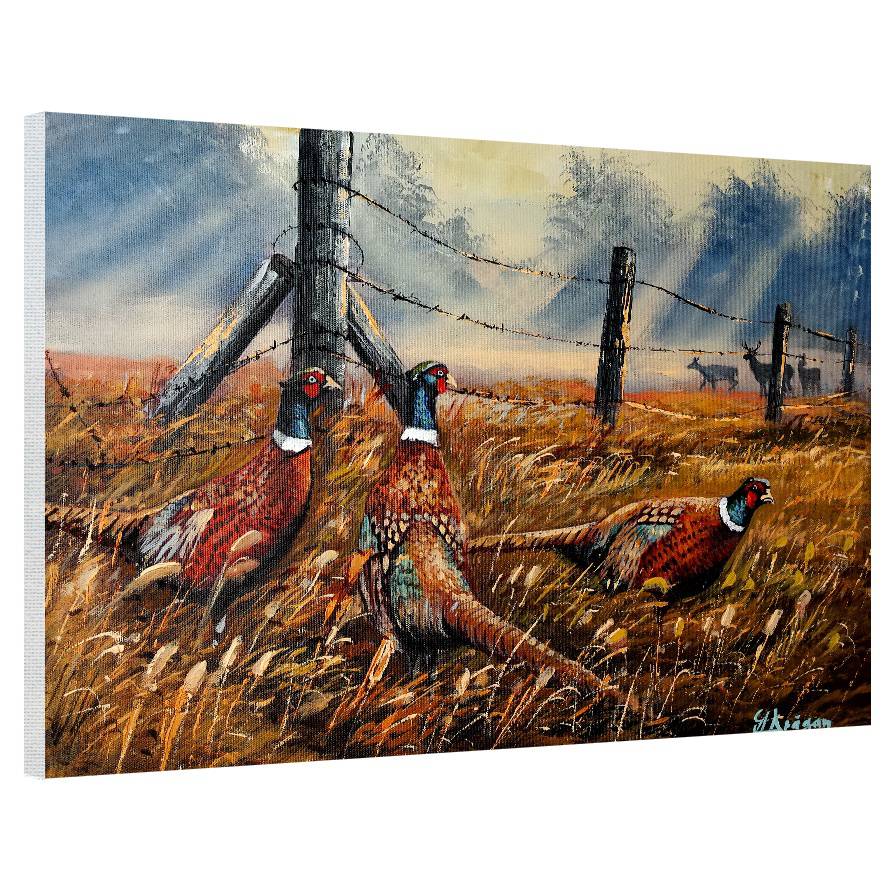 Meadow Mist Pheasants