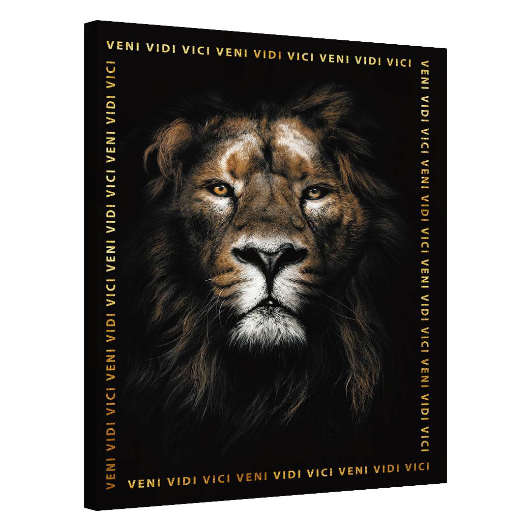 Lion · Veni Vidi Vici