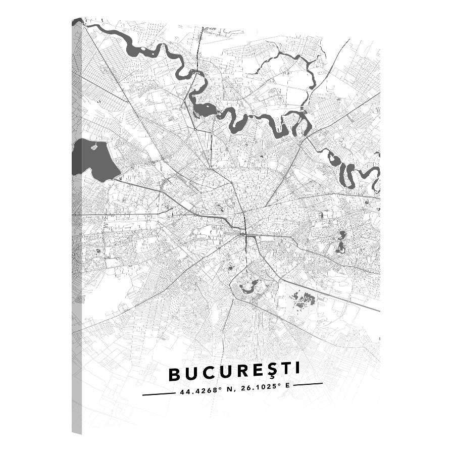 Street Map · Cauți Tablou cu Harta Orașului tău?